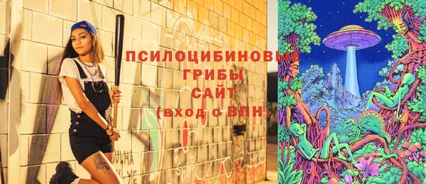 спиды Алексин