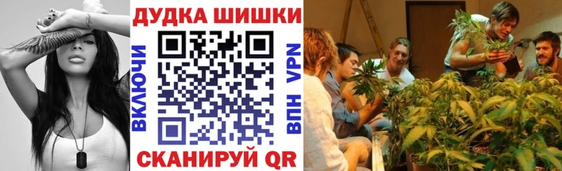 Конопля гибрид Вилюйск